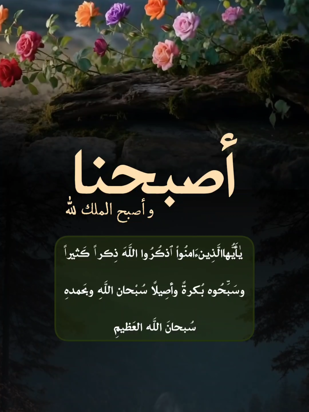 صباح الخير #اصبحنا_واصبح_الملك_لله #صباحكم_سعادهـ #fyppppppppppppppppppppppp #fup #اكسبلور 