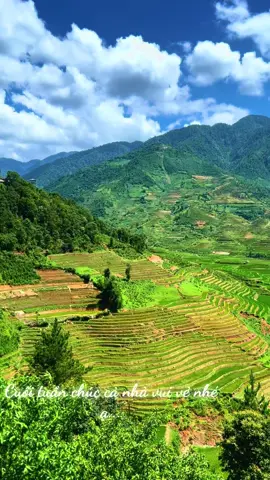 #xuhuongtiktok #xuhuong #viral 