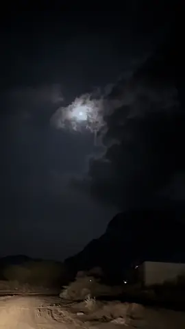 #سبحان_الله_وبحمده_سبحان_الله_العظيم #اللهم_صل_وسلم_وبارك_على_نبينا_محمد #اكسبلورexplore #اكسبلورexplore #تصويري📸اكسبلوور♥️🙂 