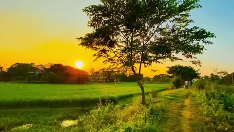 #ইসলামিক_ভিডিও_🤲🕋🤲 #কপি_লিংক_করো_প্লিজ_প্লিজ #slamik_video #cpilink 