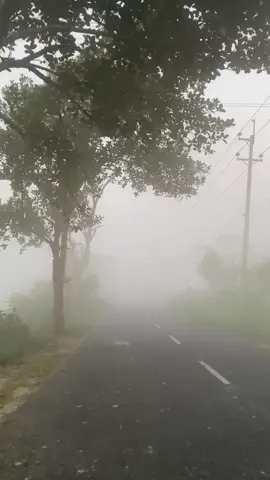 স্মৃতি কোনোদিন হারায় না,হারায় তো স্মৃতি রেখে যাওয়া মানুষ...! 😅#vairal_video #Foryou 