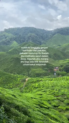 semoga hati ini selalu berada di jalan yang benar 