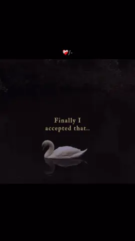 🫠📝🫶🏻 . . . . . . . . . . . . .  I only post the best parts of the songs 🤗🌸✨ Follow for more 🥰🙌🏻 . .  . .  #fyp #lyricsvideo #hindisong #Love #asthetic 