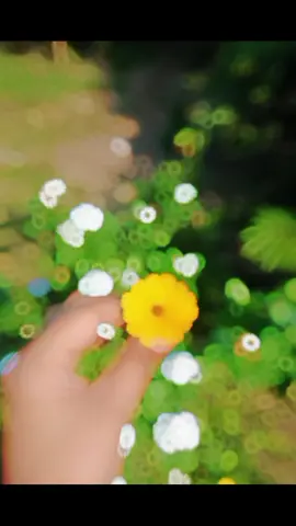 মানুষ যতই ঘনিষ্ঠ হোক না কেন, মানুষ যেকোনো সময় পরিবর্তন হতে পারে।🖤