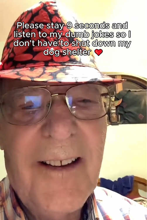 link to support in bio 🙏 1 share = 1 life saved 🐶 please follow and comment to help the fur babies 🙏🐶❤️ #doglover #doglovers #dogloversoftiktok #dogtok #dogsoftiktok 