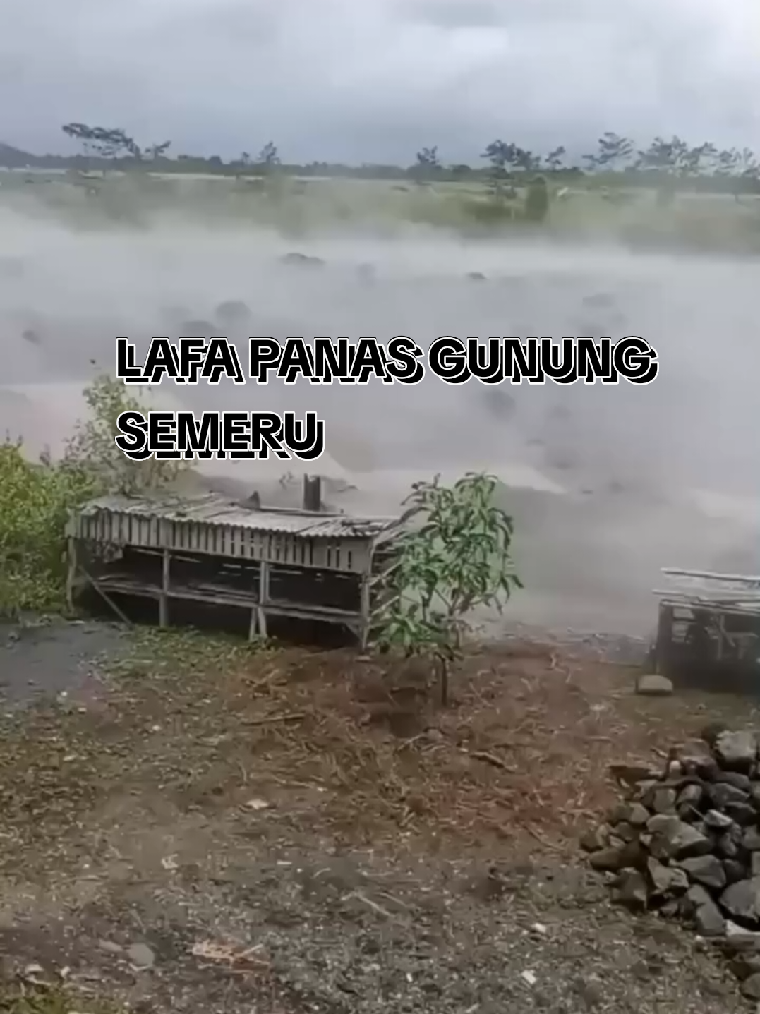 Hari Ini Jumat 5 Deswmber 2025 Banjir lahar panas Gunung Semeru memasuki permukiman warga di Dusun Sumber Langsep, Kecamatan Candipuro, Kabupaten Lumajang. Wilayah tersebut kini terisolasi dari area sekitarnya. Meski kondisi semakin mengkhawatirkan, sejumlah warga belum bersiap untuk mengungsi dan justru menjadikannya tontonan serta merekam kejadian melalui #semeru #gunungsemeru #viral   ponsel. @medsos_meledak789