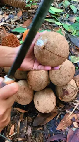 #আমিও ১৫, বছর বয়সে বাবার বাড়ি ছারলাম,,,😅😅