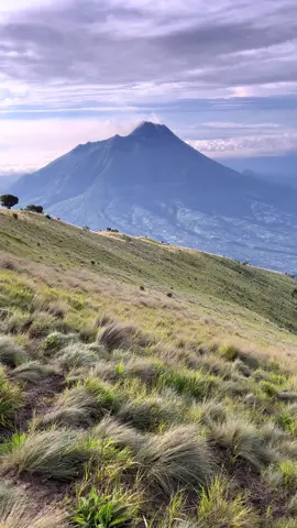Pesona keindahan gunung merbabu via swanting tanggal 07 Desember 2025, Menolak kabut di hari minggu #merbabu #merbabumountain #pendakigunung 