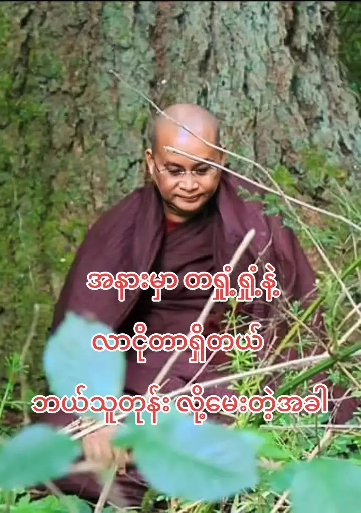 🛑 ဘုန်းကြီးသုဿန်ဓုတင်ဆောင်နေတော့       အနားမှာ တရှုံ့ရှုံ့နဲ့လာငိုတာရှိတယ် .....🍂 ▪️ ဘယ်သူတုန်း လို့မေးတဲ့အခါ ... 🌿 ဘုန်းဘုန်းဒကာကြီး တစ်ဦးဖြစ်တဲ့ ဦးဘယ်သူရဲ့ သမီးပါဘုရားတဲ့။ ဘယ်လိုဖြစ်နေလဲ လို့ မေးတဲ့အခါ  တပည့်တော်မ သေခါနီးမှာ သမီးနှစ်ယောက်ကို စွဲပြီးသေခဲ့ရလို့ ကြောက်မက်ဖွယ်ကောင်းတဲ့ ဘဝဆိုးကို ရောက်ရှိနေပါတယ်ဘုရားတဲ့။ ဒါကြောင့် ဘယ်သူမှလဲကယ်လို့မရတဲ့  ဘဝဆိုတာ အဲဒါပဲပေါ့ မေတ္တာပို့ပေးမယ် အမျှပေးဝေမယ်  အမျှယူနော် လို့ပြောတော့ တပည့်တော် အမျှခံယူလို့မရပါဘုရား တဲ့။ တပည့်တော်ကို လူသုံးယောက်က ဝိုင်းပြီးတော့  ထုရိုက်နေကြပါတယ် အရှင်ဘုရားနားကို ရောက်တော့အရှင်ဘုရားရဲ့ မေတ္တာကြောင့် တပည့်တော်မ ခဏ သက်သာရာ ရနေပါတယ်  သူတို့ ရှေ့ဆက်မရဘူး ရပ်နေကြတယ် ဘုရားတဲ့။ တကိုယ်လုံးမှာလည်း စူးတွေပေါက် နေပြီးတော့ အရိုက်ခံနေရတဲ့ ပြိတ္တာဖြစ်နေပါတယ်  တဲ့။ အော်ကုသိုလ်သည်သာ  အားကိုးရာပါလားလောဘဇောနဲ့သေတော့ ပြိတ္တာဘဝရရှာတယ်။ ကုသိုလ်တရားစွမ်းအားတွေ မိမိနှလုံးသားထဲမှာမရှိထားဘူးဆိုရင်  #လူပြိတ္တာ # #ဘုန်းကြီးပြိတ္တာ #သီလရှင်ပြိတ္တာတွေ ဖြစ်ကြရတယ်နော်။ တပည့်လေးတစ်ယောက် ဘုန်းကြီးနဲ့ဝေးကွာပြီးနောက်ပိုင်းမှာ ကုသိုလ်ကောင်းမှုတွေ သူမလုပ်ဖြစ်တော့ဘူး။ အသက်၂၆နှစ်မှာ ငှက်ဖျားပိုးဝင်ကွယ်လွန်သွားခဲ့တယ်။ တနေ့ သုသာန်ဓူတင်ဆောင်နေတုန်း ပုံပျက်ပန်းပျက်နဲ့ ရောက်လာတယ်။ နံစော်နေတာပဲ။ဘယ်လိုဖြစ်တာလဲကွာ ဆိုတော့ တပည့်တော် မကောင်းတာတွေလုပ်ခဲ့မိတယ်ဘုရား တဲ့။ ကဲ အဲ့ဒါဆို သာဓုခေါ်ပါ အမျှပေးမယ်ဆိုတော့ အရှင်ဘုရား သာဓုမခေါ်နိုင်တဲ့ဘဝပါတဲ့ ငိုယိုပြီးပြန်သွားရှာတယ်။ အော် ကုသိုလ်ကောင်းမှုမရှိခဲ့တဲ့ဘဝ ကြောက်စရာနော်။ သာဓုမခေါ်နိုင်တဲ့ဘဝရောက်ရတတ်တယ်။ တခါက ရိုးမတောထဲမှာ တရားထိုင်နေစဉ်ကချောက်ကမ်းပါးထဲကနေ တက်လာတဲ့ ပြိတ္တာကျတော့ ပိန်ကပ်နေပြီး အရိုးချည်းပဲ။ ဆာလောင်နေပြီး အင် အင်နဲ့ ညည်းညူကာ ဟိုဘက်ပြေးလိုက် ဒီဘက်ပြေးလိုက်နဲ့ အစာရှာနေတယ်။ ဘုန်းကြီးက သနားလို့အို ပြိတ္တာကြီး ဒီအနားလာခဲ့ပါ တရားဟောပြီး အမျှပေးပါမယ် ဆိုတာ တချက်လှည့်ကြည့်ပြီး ချောက်ထဲ ဆင်းပြေးသွားတယ်။ ခေါင်းတခုလုံးသွေးတွေရဲနေပြီး ငှက်ပြိတ္တာတွေက ထိုးဆိတ်ခံနေရတဲ့ ပြိတ္တာကြီးကိုလည်း တွေ့ခဲ့ရဘူးတယ်။ တခါတရံ မျက်လုံးသုံးလုံး ခေါင်းကအကြီးကြီး ကိုယ်ကသေးသေးလေးနဲ့ ပြိတ္တာကိုလည်း တွေ့ခဲ့ရသေးတယ်။ အကုသိုလ်ကံတွေက ဆန်းကြယ်တဲ့ ပုံသဏ္ဍာန်တွေနဲ့ပြိတ္တာဘဝကိုရရှိစေ ပြီးဆင်းရဲဒုက္ခတွေကို အဆက်မပြတ်ခံစားနေကြရရှာတယ်။ ဘုန်းကြီးကသနားလို့အမျှပေးပေမယ့် သူတို့မှာ ကုသိုလ်ကံကတစက်မှမရှိပဲ အကုသိုလ်ကံချည်းသာရှိနေတော့ သာဓုမခေါ်နိုင်ကြရှာဘူး။ ဒါ့ကြောင့် ကုသိုလ်မှန်သမျှအကုန်ပြုကြ။ လူတွေဟာ ကြောက်စရာ ကောင်းတယ်နော်။ ချစ်ရင်လည်း နှစ်ယောက်မရှိ။ မုန်းရင်လည်း နှစ်ယောက်မရှိဘူး။ ချင့်ချိန်မှု အားနည်းကြတယ်။ သတိမရှိကြ၊ အသိဉာဏ် အားပျော့တယ်။ အမှန် နားလည်သဘောပေါက် ထားရမှာက ချစ်စရာနှင့်ပဲ တွေ့တွေ့၊ မုန်းစရာနှင့်ပဲ တွေ့တွေ့၊ နှလုံးသွင်းမှန်မှန်ဖြင့် ဘာပဲဖြစ်ဖြစ် ခဏလေးပါလား လို့ သတိထား ဆင်ခြင်လိုက်ရမယ်။ မည်သည့် အာရုံမဆို ခဏကလေးရယ်ပါ။ ဖြစ်ပေါ်လာရင်လည်း ခဏ၊ ပျက်သွားပြန်တော့လည်း ခဏပါလား ဟု စိတ်မှာသတိကပ်ပြီး ဉာဏ်ကလေးနှင့် အသိဝင်ပေးလိုက်ပါ။ ဘာပဲဖြစ်ဖြစ် ခဏလေးပါနော်။ ဒါဆို စိတ်အေးသွားလိမ့်မယ်။ ဘဝသံသရာကြီးဟာ ရှည်လျားလွန်းတယ်။ ရေတွက်လို့ မရလောက်အောင် ရှည်ခဲ့ပြီးပြီ။ အပြီးသတ် ချုပ်ငြိမ်းစေသော အရာဝတ္တုသည် မရှိ။ မြတ်ဘုရား၏ အဆုံးအမ သစ္စာလေးပါးကို သိမြင်ခြင်း၊ မှတစ်ပါး လမ်းမရှိ။ ဒုက္ခသစ္စာမှ နိရောဓသစ္စာသို့ မျက်မှောက် မပြုနိုင်သရွေ့၊ အို၊ နာ၊ သေ ကြရမှာပါ။ ဒါကြောင့်မို့ ..  ခုအချိန်သည် မိမိအတွက် ကံကောင်းတုန်း၊ ဉာဏ်ကောင်းကောင်းဖြင့်၊ မြတ်သောကျင့်စဉ် မရမရှိ၊ မသိမဖြစ်၊ သိမြင်နိုင်အောင် ကြိုးစားအားထုတ်နိုင်ကြပါစေ ဟု ဆန္ဒပြုလျက်။ တချို့လူတွေက ပြောတတ်ကြတယ်။ တရားအားထုတ်ဖို့ တောထဲ မလိုပါဘူး။ တရားက တောမှာရှိတာမှ မဟုတ်ဘဲ၊ တရားက ခန္ဓာထဲမှာ ရှာရမှာဆိုပြီး၊ စကားတွေ ပြောကြတယ်။ ဘုန်းကြီးက ပြောလိုက်ချင်တာက၊ တောအရသာကို မသိလို့၊ ထိုသူ ပြောတာပါလို့။ ရှေးအရိယာ သူတော်ကောင်းတို့သည် တောမှာပဲ ဘဝကို အပြီးတိုင် အသုံးပြုသွားကြတယ်ဆိုတာ  သူတို့ မသိလို့ပေါ့။ တို့မြတ်စွာဘုရားသည် တောမှာ မွေး၊ တောမှာ သစ္စာတရားသိ၊ တောမှာ ပရိနိဗ္ဗာန် စံတော်မူခဲ့သည် မဟုတ်ပါလား။ ပိုသိချင်ရင် မဟာဗောဓိမြိုင်ဆရာတော်ကို သွားမေးကြည့်လိုက်။ တောရ ဆောက်တည်ရခြင်း ကျေးဇူးဘယ်လောက် တန်ဖိုးရှိတယ် ဆိုတာ။ ⚜️မြောက်ဦးဆရာတော်ကြီး🙏🪷🌿 #မြောက်ဦးဆရာတော် #tiktok 