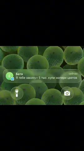 АХАХАХАХА #рекомендации #fyp #meme #приколы #мем 