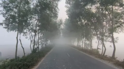 কুয়াশা ভরা সকাল❄️☃️ #viral #foryou #support #following #munnazx2 