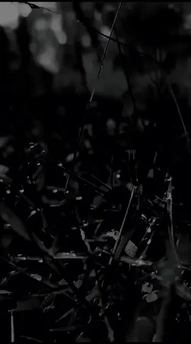 #motivasi #katahati #katakatabijak #kataayah #katahatimotivasi 