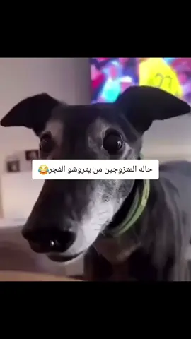 #في هذا اليوم #fhpyツviral #fyoupage #viralvideo 