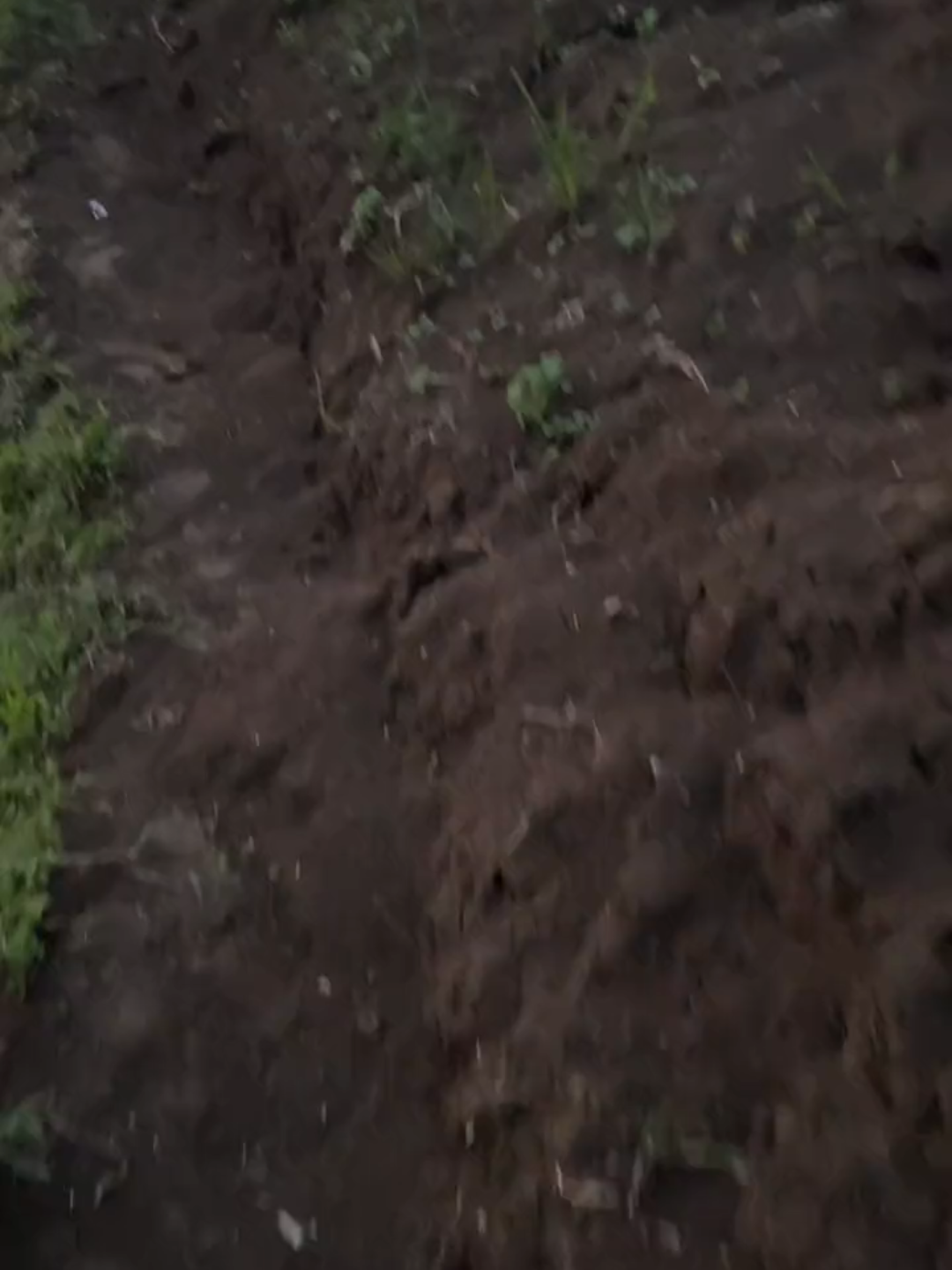 ... #itssnowinglikeitstheendoftheworld #peace #nature