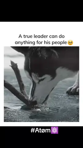 #Atøm⚛️ #lifelesson #successmotivation #positivity 