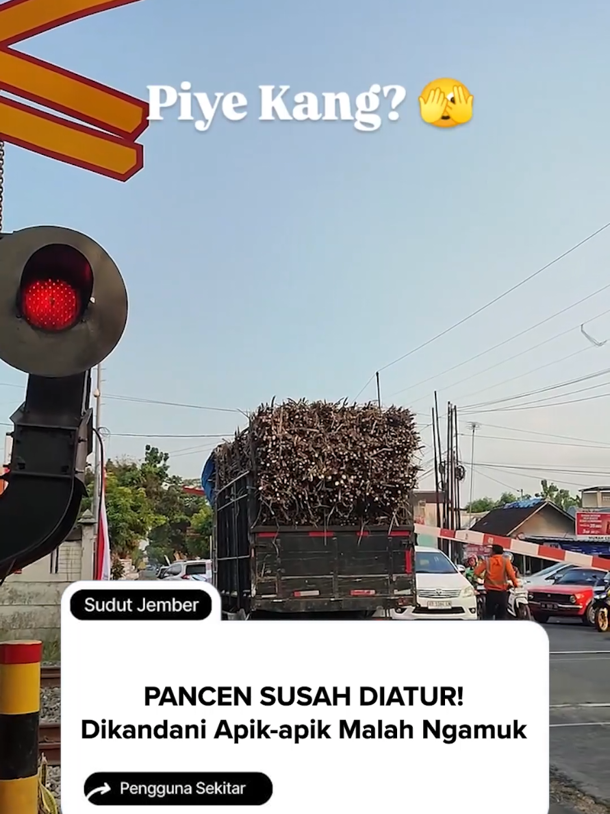 Susah Diatur #tiktokberita 