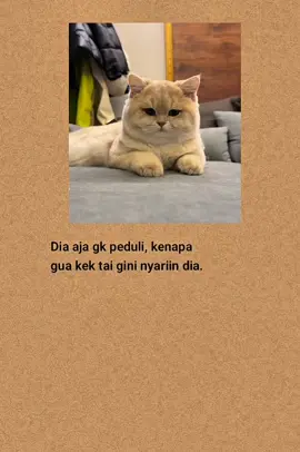 #katakatasedih #katakatabijak #fyp #viral #laguindia 
