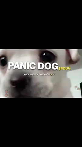 $pdog will change lives, check bio 🤑 #asia #100x #earlyaccess  #convictionreward 