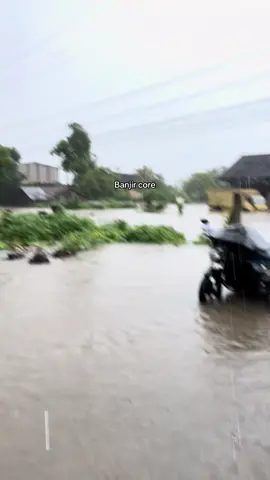 🐓: santai dulu gaseee, buru buru amat ! #banjircore #core #banjir #banjirsumatera #prayforsumatera 