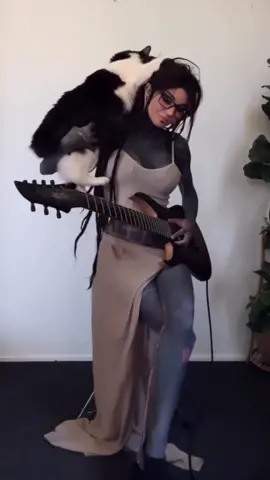 Happiest of birthdays to Haku & Ruka! 🐾✨  These siblings are my first foster fails & the biggest blessings. They came to me in horrible condition nearing death many times. The first couple of weeks I was up every 2-4 hours, feeding, cleaning, reheating the hot water bottle & helping them go to the toilet as they can’t do it on their own so young.  Thanks to my amazing vet at the time & both kitties putting up a good fight they survived & have been such an incredible part of my life since. Ruka is my muse, she’s always with me when I create & she will tuck herself into my arms & under the blankets to sleep with me most nights🩶 she is the most affectionate gentle lil kitty I’ve ever met. She’s very in tune when I’m upset too & will often comfort me. She also has the cutest lil feets that remind me of bunny feet, so her middle name is bunnyfeets. I don’t really have words to describe Haku, he’s something else & I’ve never met a cat quite like him. He loves going to the vets, he loves being in new places & meeting new people, he has no fear & will even run up to dogs to befriend them. He loves going in the car with me so I drive him around the paddock & to check the mail & he absolutely loves his sister Ruka. They still both clean & cuddle each other. They’re the sweetest lil smal fries & I love them with all my heart 🩶🖤🤍