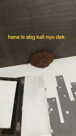 #fyppppppppppppppppppppppp #fpypage 