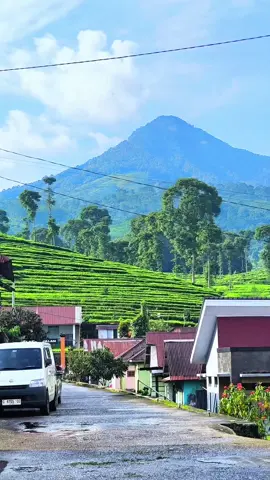 hidden gem ds keteleng pagilaran  #pagilaranbatang #pagilaran #batang #kebunteh #wisatabatang 