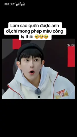 ☘️☘️☘️#justiceforyumenglong于朦胧 #vumonglung🌸🍋🐟 #yptiktok #yumenglong 