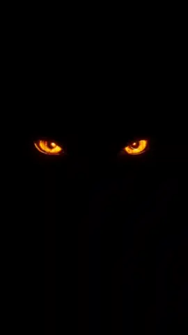 6 Frases de Acero: Domina, No Debatas. #DominioSocial #PsicologíaOscura #ControlMental #LenguajeDePoder #Límites 