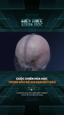 Cuộc Chiến Hoá Học Trong Não Bộ Khi Bạn Ngủ #LearnOnTikTok #kienthuc #khoahoc #cuocsong #xh 
