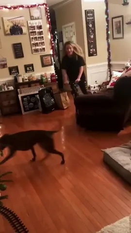 BEST Christmas Fails of 2025! #fail 