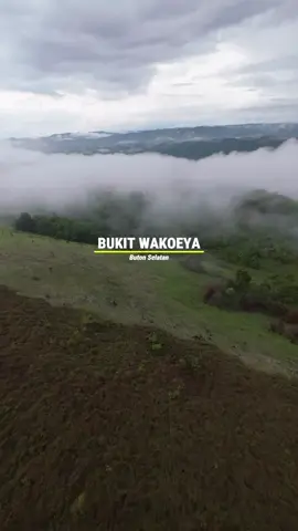 Negeri di atas awan bukita wakoeya hendea buton selatan  #bukitwakoeya #hendea #negeridiatasawan #butonselatan #explore 