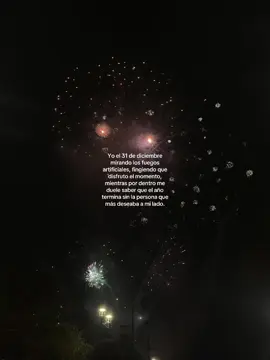 son tan bonitos los juegos artificiales pero solo quiero abrazarlo… #miss #amor #diciembre #fyp #parati 
