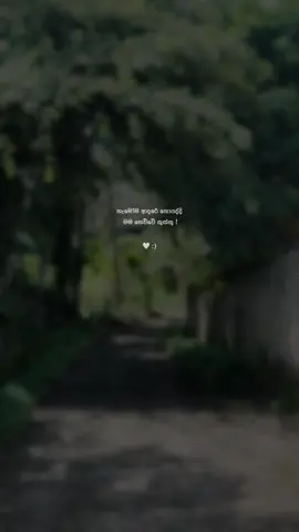 මගේ ලග ඉන්න කියා 😩🫶. #fyp #fypシ゚ #fypppppppppppppppppppp #viral #viralvideo 