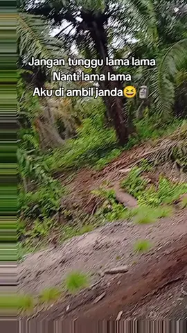 janda muda merapat😆🤣#kuburokanhilir #hondalangsir #langsirbalapsawit #hondalangsir 