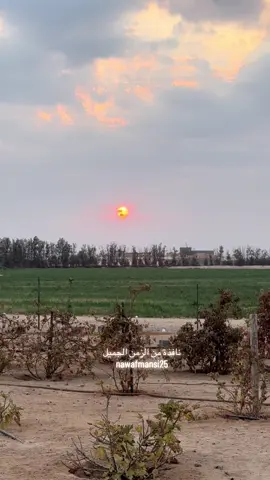 #اللهم لاتدع لنا ذنبا الاغفرتة #استغفر الله واتوب الية#رطب_لسانك_بذكر_الله 