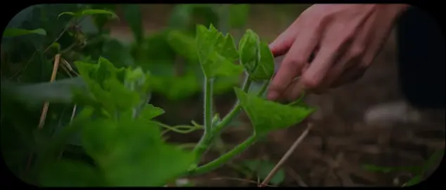 سورة مريم | الآية 31 - 33 القارئ : #محمود_خليل_الحصرى  #قران #quran #quran_alkarim⁩