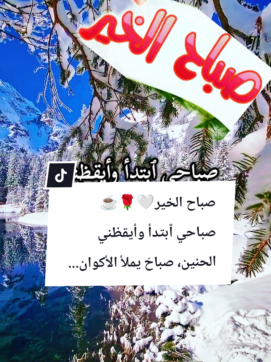 #souzan396 #صباح_الخير  صباح الخير🤍🌹☕صباحي ٱبتدأ وأيقظني الحنين،صباحّ يملأ...