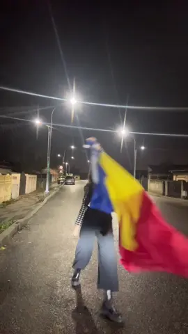 Mergem la vot! #fyp #romania🇷🇴 #bucuresti #buzau #alegeri 