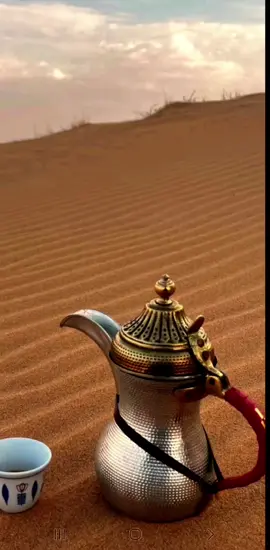 قصايد #شيلات #خواطر #شعر #اكسبلورexplore #فولو 