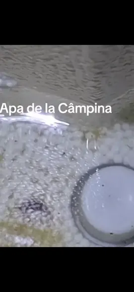 alimentarea cu apă la Câmpina#cumsa 