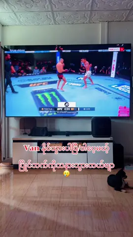 Van နိုင်သွားပါပြီ❤️