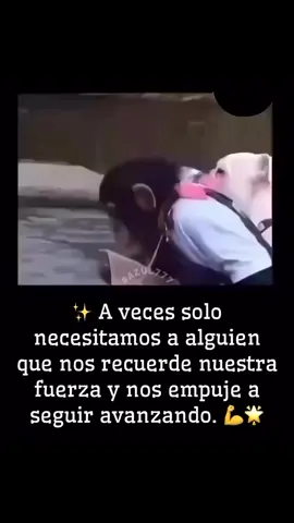 #contenido #reflexion #motivacion #humortiktok #paratiiiiiiiiiiiiiiiiiiiiiiiiiiiiiii 