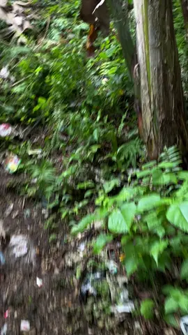 Akan kuhadapi semuanya tapi bentar ku panjat dulu 🤣🤣🤣