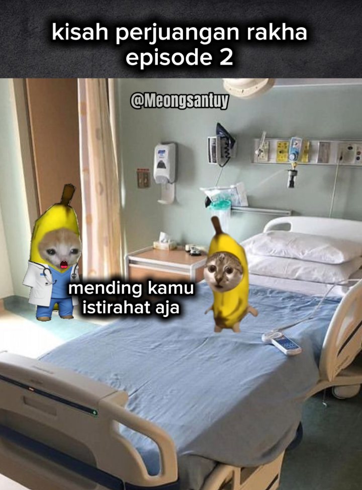 cerita si rakha episode 2 #memekucing #fyp #catmemes #rakha 
