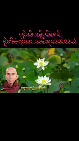 ကိုယ်ကမိုက်မဲရင် မိုက်မဲတဲ့သားသမီးရတတ်တယ် #သစ္စာရွှေစည်ဆရာတော်အရှင်ဥတ္တမ၏တရားတော်  #တရားတော်များနာယူနိုင်ပါစေ🙏  #ဓမ္မမျှဝေရာ #ဓမ္မဒါန  #TikTokMyanmarBuddhaDhammaFypPage🇲🇲 