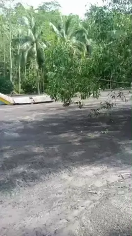 ya Allah seperti di cor rumah2 hilang,#padahariini #erupsi #semerulumajang #laharsemeru #banjirsemeru 