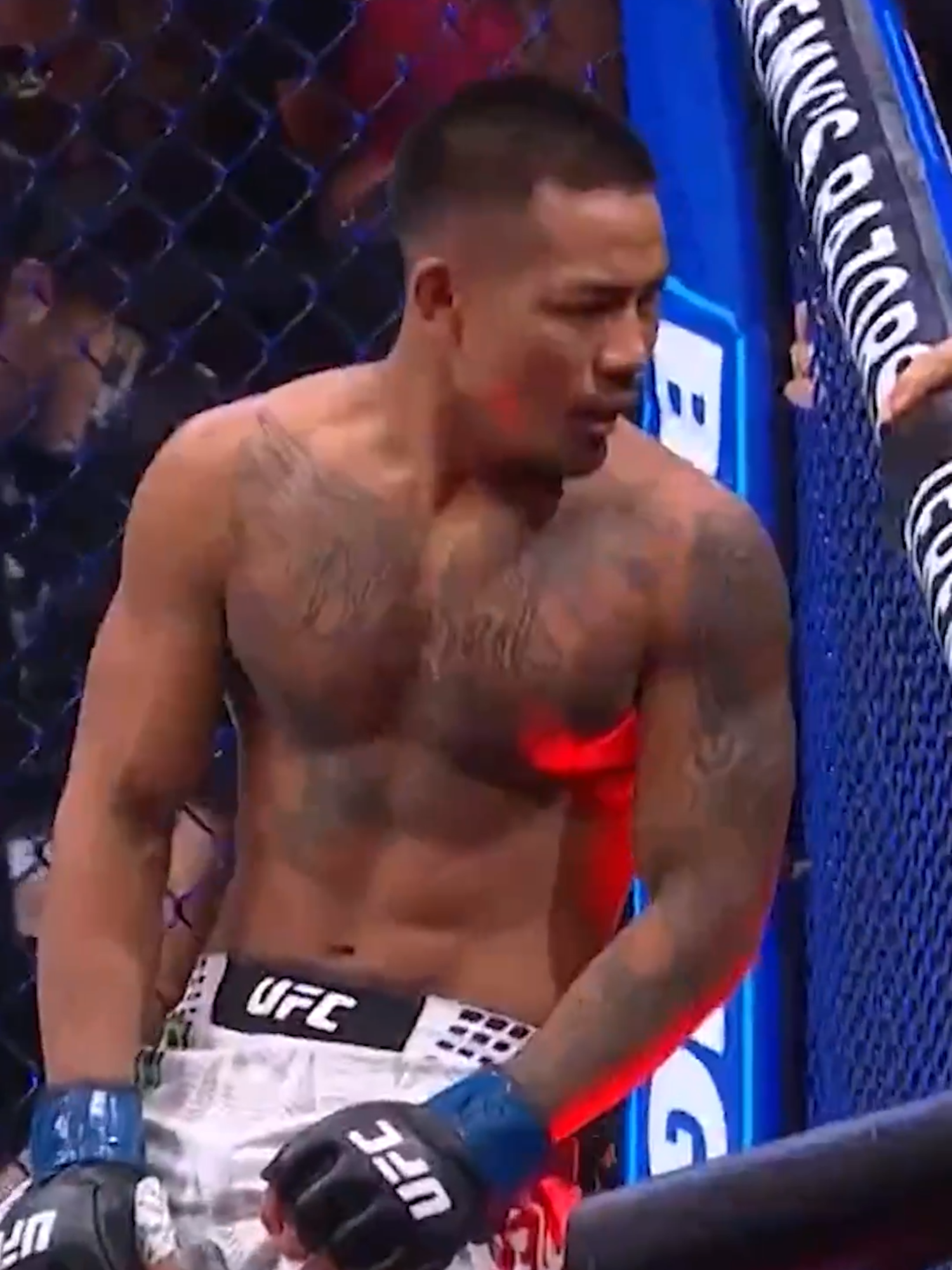 JOSHUA VAN IS THE NEW FLYWEIGHT CHAMP 😳 #UFC #mma #joshuavan