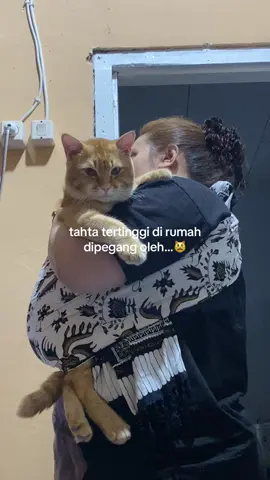 apalah daya anak terakhir terkalahkan oleh anak pungut😭 #kucinglucu #kucingtiktok #kucinggemoy #kucingoren #fyp 