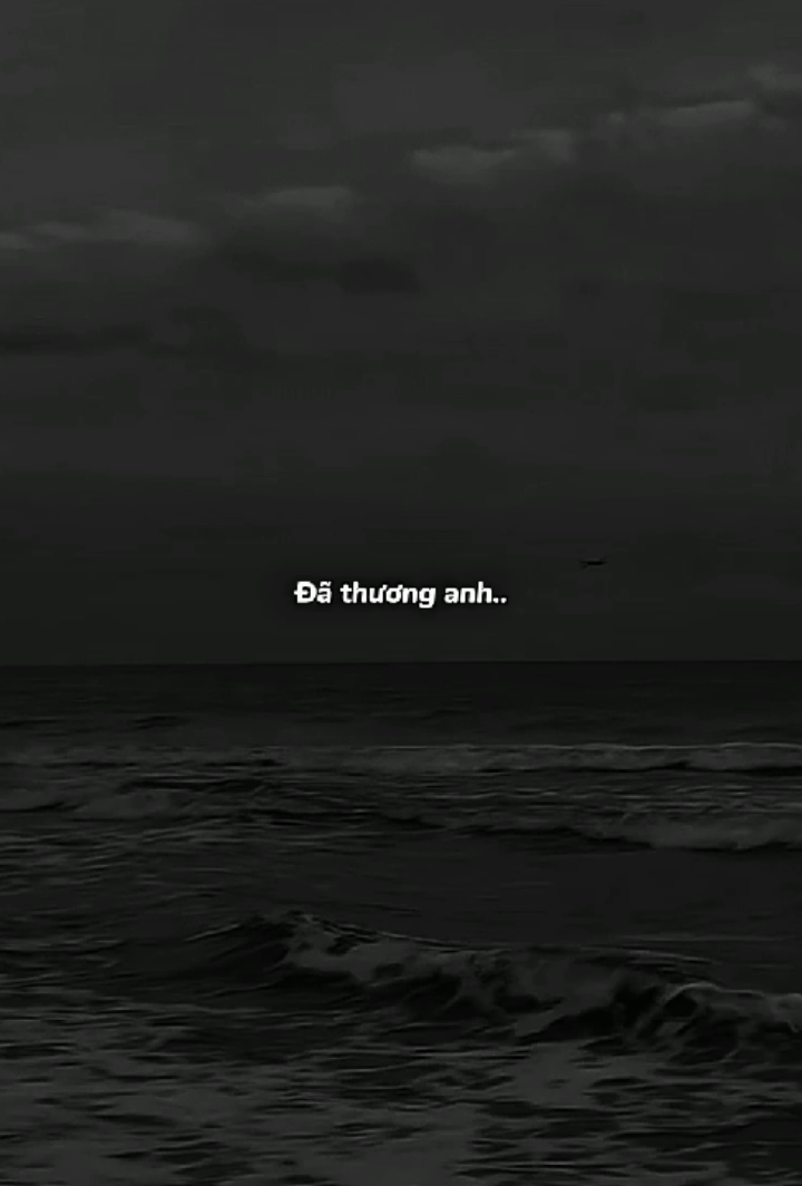 Cảm ơn em đã thương anh.Thanh xuân này chỉ dành cho anh..#xuhuong #adore_07 #tamtrang #lyrics #nhachaymoingay 