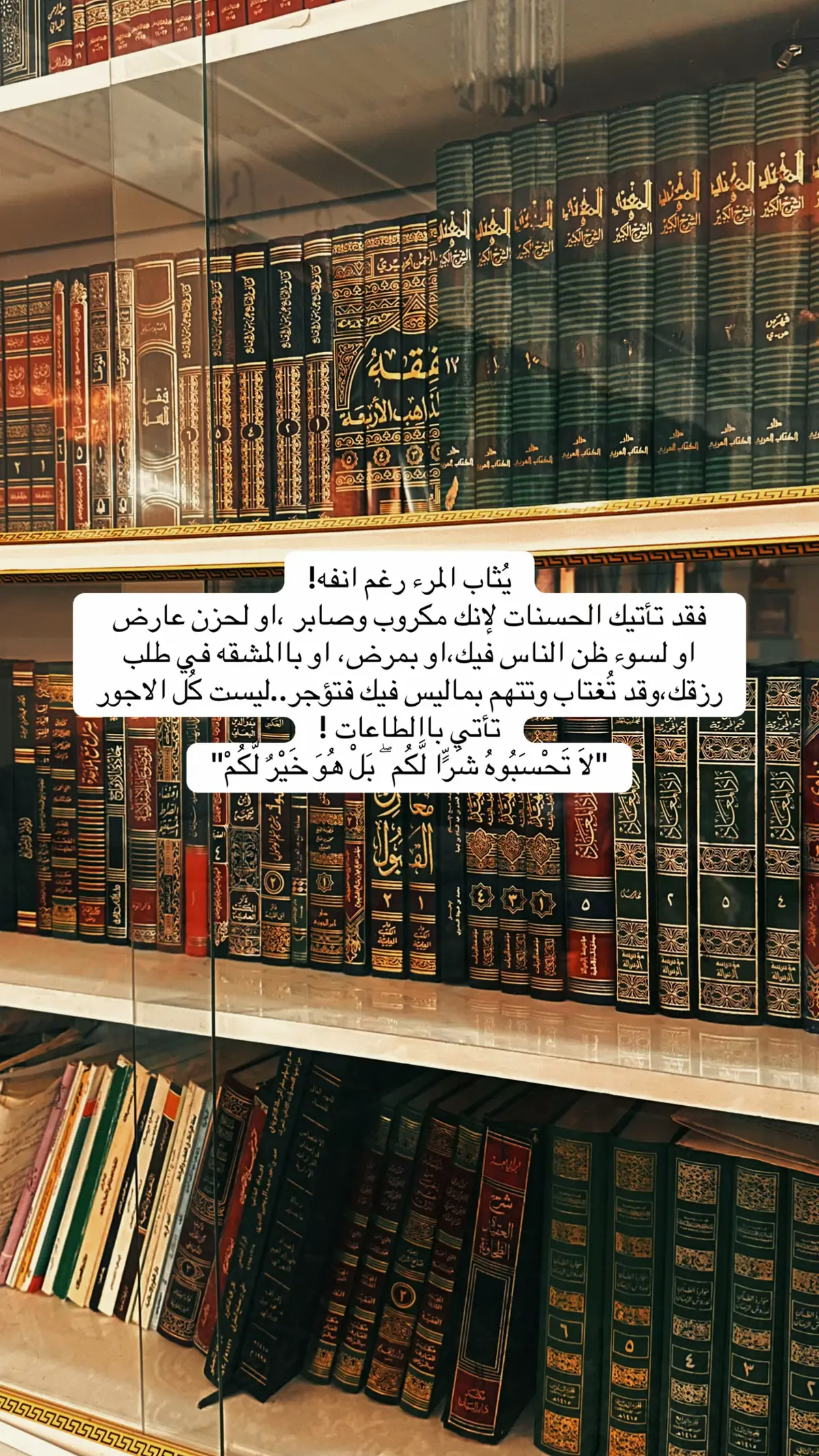 #مالي_خلق_احط_هاشتاقات#اكسبلور#الشعب_الصيني_ماله_حل 